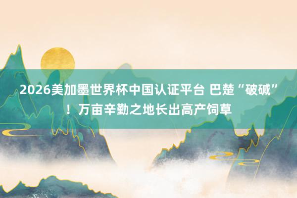 2026美加墨世界杯中国认证平台 巴楚“破碱”!万亩辛勤之地长出高产饲草