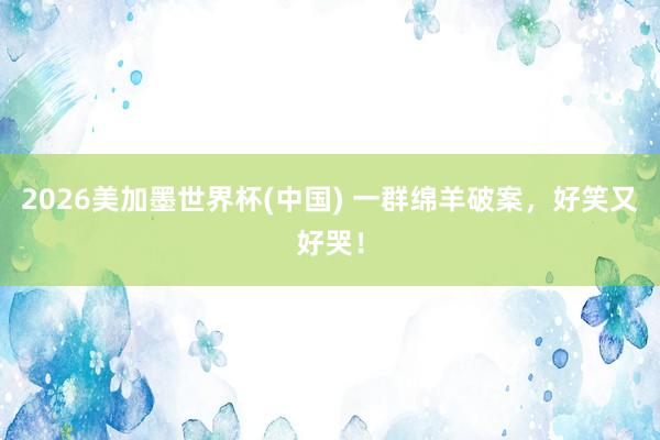 2026美加墨世界杯(中国) 一群绵羊破案,好笑又好哭!