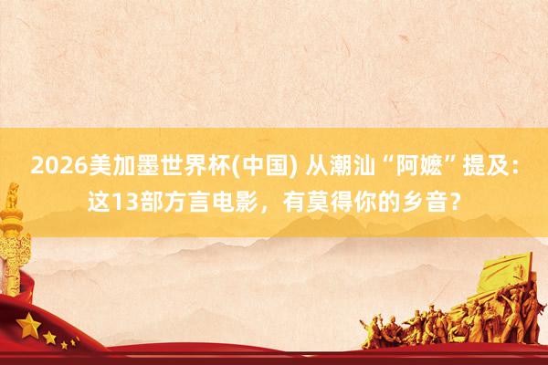 2026美加墨世界杯(中国) 从潮汕“阿嬷”提及:这13部方言电影,有莫得你的乡音?