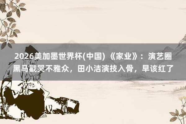 2026美加墨世界杯(中国) 《家业》:演艺圈黑马戳哭不雅众,田小洁演技入骨,早该红了