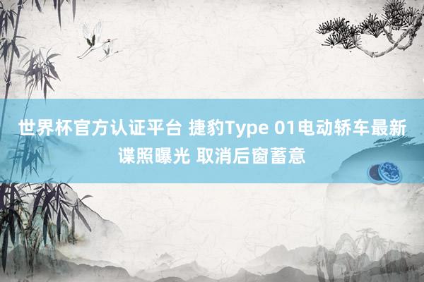 世界杯官方认证平台 捷豹Type 01电动轿车最新谍照曝光 取消后窗蓄意