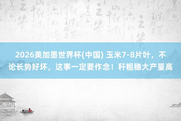 2026美加墨世界杯(中国) 玉米7-8片叶，不论长势好坏，这事一定要作念！秆粗穗大产量高