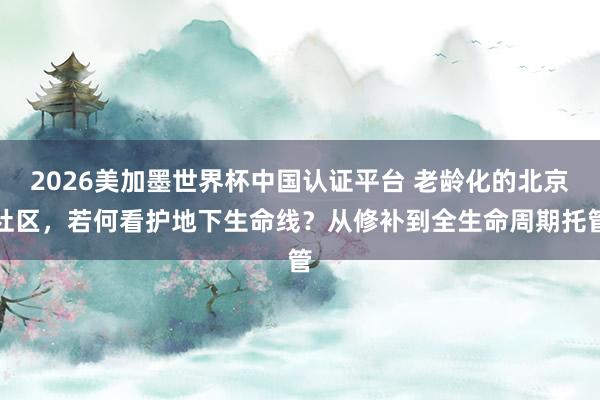 2026美加墨世界杯中国认证平台 老龄化的北京社区,若何看护地下生命线?从修补到全生命周期托管