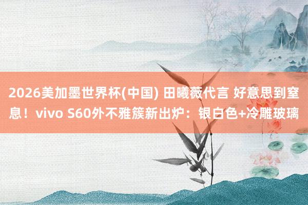 2026美加墨世界杯(中国) 田曦薇代言 好意思到窒息!vivo S60外不雅簇新出炉:银白色+冷雕玻璃
