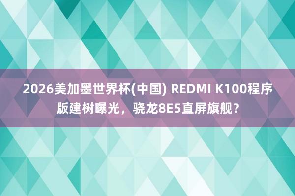 2026美加墨世界杯(中国) REDMI K100程序版建树曝光，骁龙8E5直屏旗舰？
