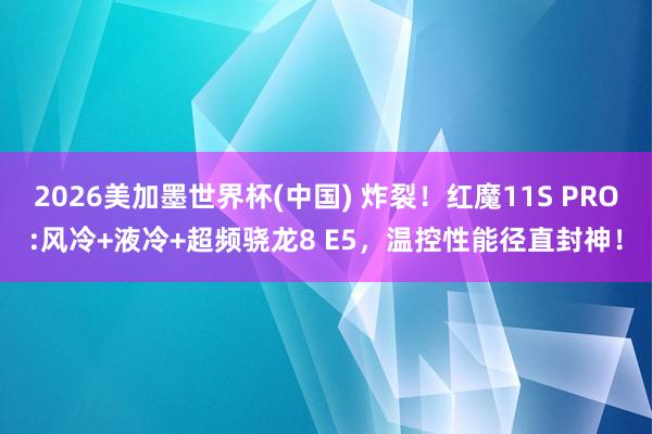 2026美加墨世界杯(中国) 炸裂!红魔11S PRO:风冷+液冷+超频骁龙8 E5,温控性能径直封神!
