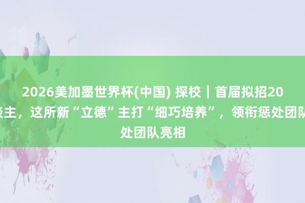 2026美加墨世界杯(中国) 探校|首届拟招200东谈主,这所新“立德”主打“细巧培养”,领衔惩处团队亮相