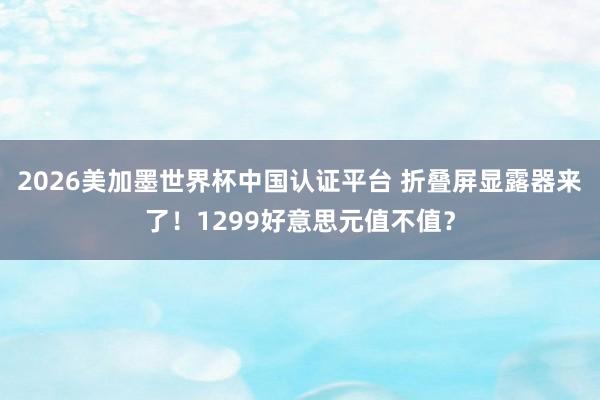 2026美加墨世界杯中国认证平台 折叠屏显露器来了!1299好意思元值不值?