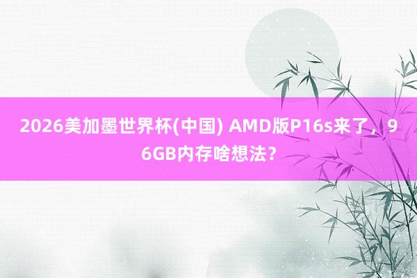 2026美加墨世界杯(中国) AMD版P16s来了，96GB内存啥想法？