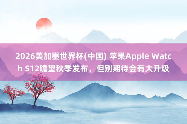 2026美加墨世界杯(中国) 苹果Apple Watch S12瞻望秋季发布,但别期待会有大升级
