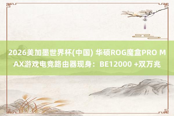 2026美加墨世界杯(中国) 华硕ROG魔盒PRO MAX游戏电竞路由器现身:BE12000 +双万兆