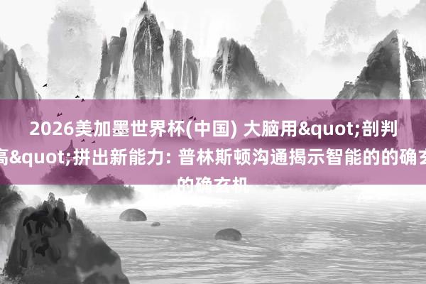 2026美加墨世界杯(中国) 大脑用"剖判乐高"拼出新能力: 普林斯顿沟通揭示智能的的确玄机