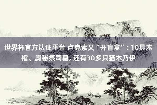 世界杯官方认证平台 卢克索又“开盲盒”: 10具木棺、奥秘祭司墓， 还有30多只猫木乃伊