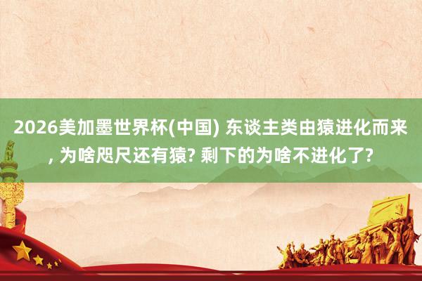 2026美加墨世界杯(中国) 东谈主类由猿进化而来, 为啥咫尺还有猿? 剩下的为啥不进化了?