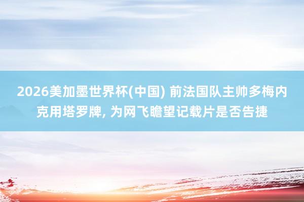 2026美加墨世界杯(中国) 前法国队主帅多梅内克用塔罗牌, 为网飞瞻望记载片是否告捷