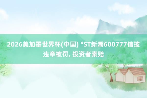 2026美加墨世界杯(中国) *ST新潮600777信披违章被罚， 投资者索赔