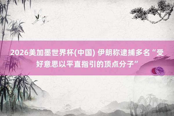 2026美加墨世界杯(中国) 伊朗称逮捕多名“受好意思以平直指引的顶点分子”