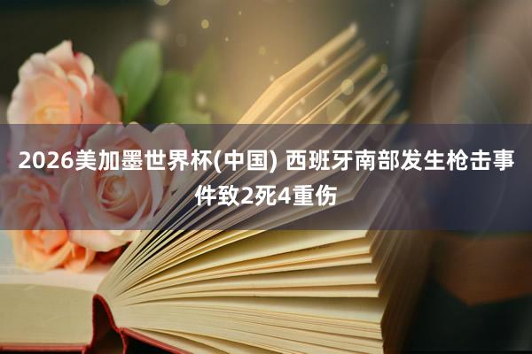 2026美加墨世界杯(中国) 西班牙南部发生枪击事件致2死4重伤
