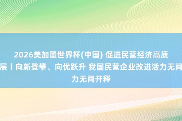 2026美加墨世界杯(中国) 促进民营经济高质料发展丨向新登攀、向优跃升 我国民营企业改进活力无间开释