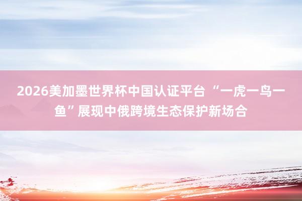2026美加墨世界杯中国认证平台 “一虎一鸟一鱼”展现中俄跨境生态保护新场合