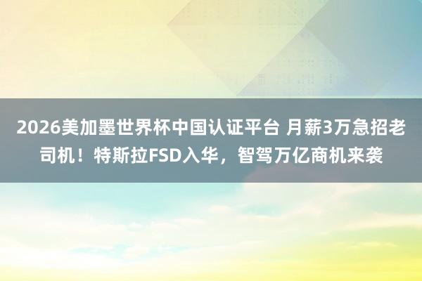 2026美加墨世界杯中国认证平台 月薪3万急招老司机!特斯拉FSD入华,智驾万亿商机来袭