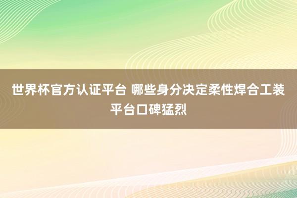 世界杯官方认证平台 哪些身分决定柔性焊合工装平台口碑猛烈