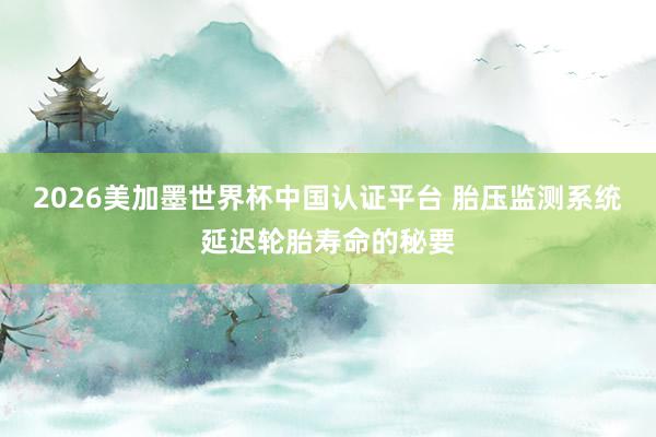 2026美加墨世界杯中国认证平台 胎压监测系统延迟轮胎寿命的秘要