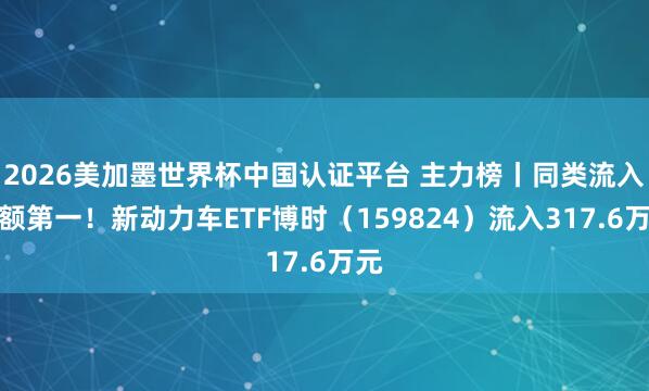 2026美加墨世界杯中国认证平台 主力榜丨同类流入金额第一！新动力车ETF博时（159824）流入317.6万元