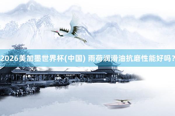 2026美加墨世界杯(中国) 雨荷润滑油抗磨性能好吗?