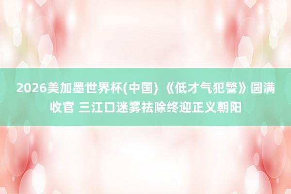2026美加墨世界杯(中国) 《低才气犯警》圆满收官 三江口迷雾祛除终迎正义朝阳