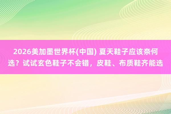 2026美加墨世界杯(中国) 夏天鞋子应该奈何选？试试玄色鞋子不会错，皮鞋、布质鞋齐能选