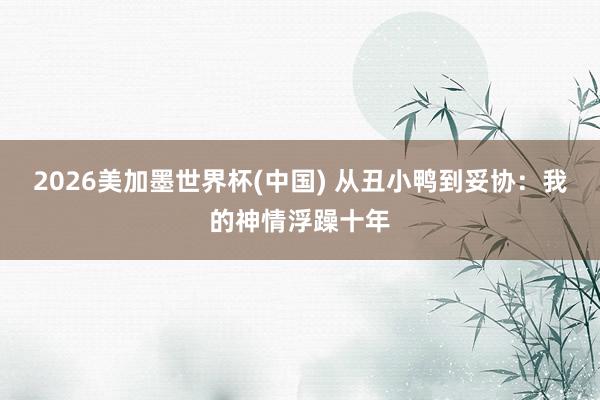 2026美加墨世界杯(中国) 从丑小鸭到妥协：我的神情浮躁十年
