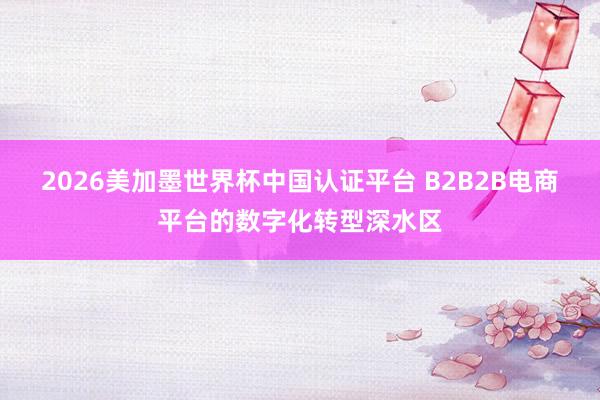 2026美加墨世界杯中国认证平台 B2B2B电商平台的数字化转型深水区