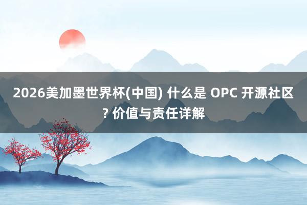 2026美加墨世界杯(中国) 什么是 OPC 开源社区? 价值与责任详解