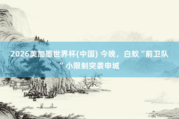 2026美加墨世界杯(中国) 今晚,白蚁“前卫队”小限制突袭申城