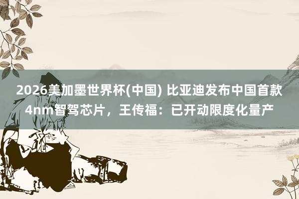 2026美加墨世界杯(中国) 比亚迪发布中国首款4nm智驾芯片,王传福:已开动限度化量产