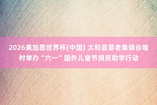 2026美加墨世界杯(中国) 太和县苗老集镇谷堆村举办“六一”国外儿童节捐资助学行动