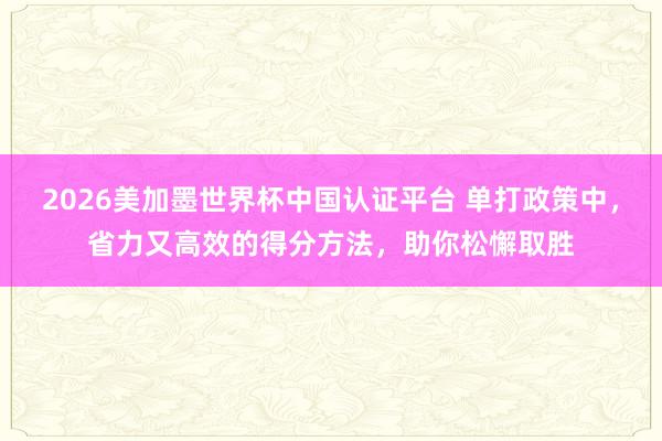 2026美加墨世界杯中国认证平台 单打政策中,省力又高效的得分方法,助你松懈取胜