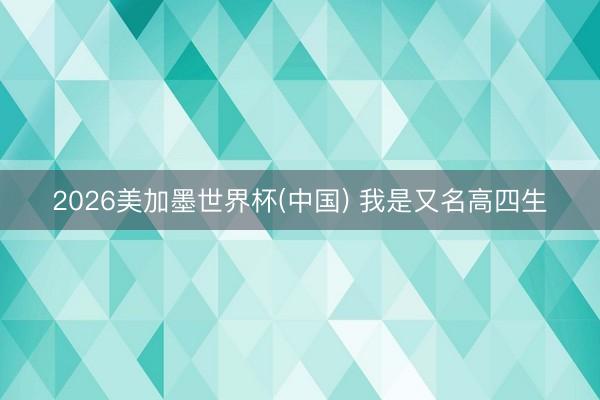 2026美加墨世界杯(中国) 我是又名高四生