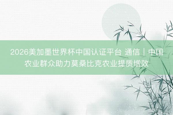 2026美加墨世界杯中国认证平台 通信｜中国农业群众助力莫桑比克农业提质增效