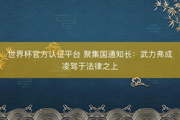 世界杯官方认证平台 聚集国通知长：武力弗成凌驾于法律之上