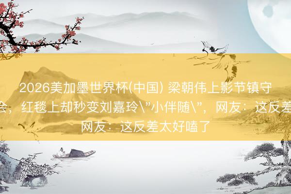 2026美加墨世界杯(中国) 梁朝伟上影节镇守C位评委会，红毯上却秒变刘嘉玲