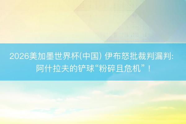2026美加墨世界杯(中国) 伊布怒批裁判漏判: 阿什拉夫的铲球“粉碎且危机” !