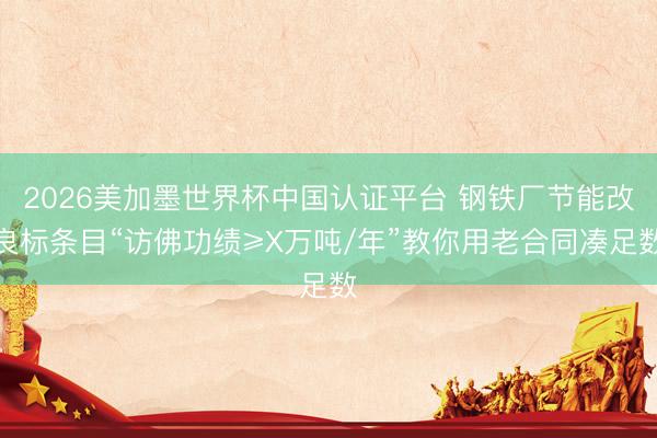 2026美加墨世界杯中国认证平台 钢铁厂节能改良标条目“访佛功绩≥X万吨/年”教你用老合同凑足数