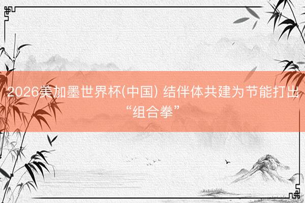 2026美加墨世界杯(中国) 结伴体共建为节能打出“组合拳”