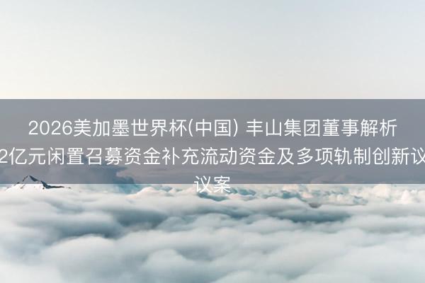2026美加墨世界杯(中国) 丰山集团董事解析过2亿元闲置召募资金补充流动资金及多项轨制创新议案