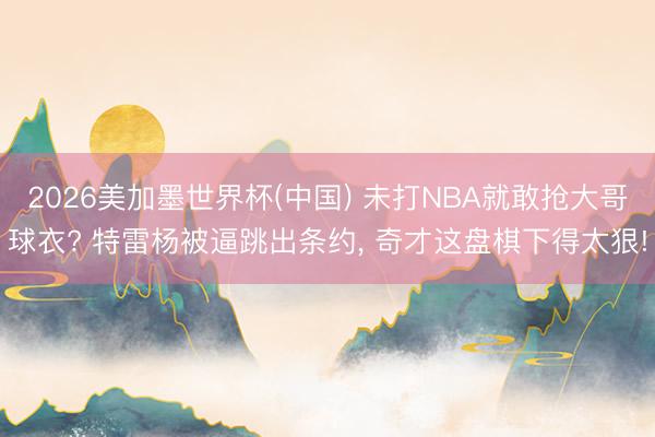 2026美加墨世界杯(中国) 未打NBA就敢抢大哥球衣? 特雷杨被逼跳出条约, 奇才这盘棋下得太狠!