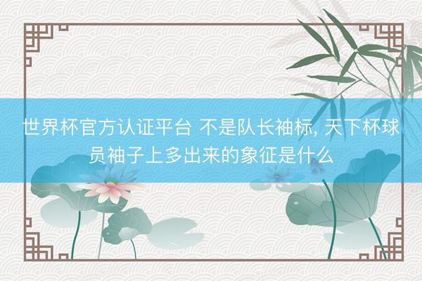 世界杯官方认证平台 不是队长袖标, 天下杯球员袖子上多出来的象征是什么
