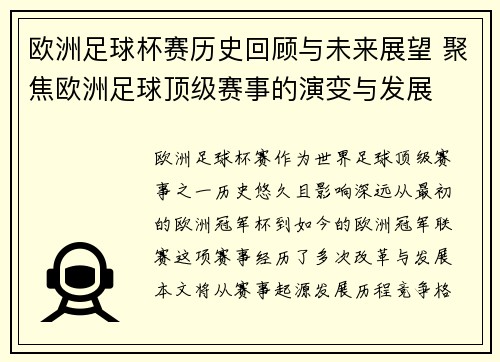 欧洲足球杯赛历史回顾与未来展望 聚焦欧洲足球顶级赛事的演变与发展