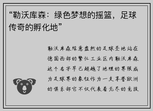 “勒沃库森：绿色梦想的摇篮，足球传奇的孵化地”